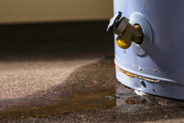 Coal Fork, WV Water damage restoration Company