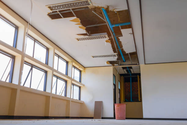 Best Water damage contractors near me  in Coal Fork, WV