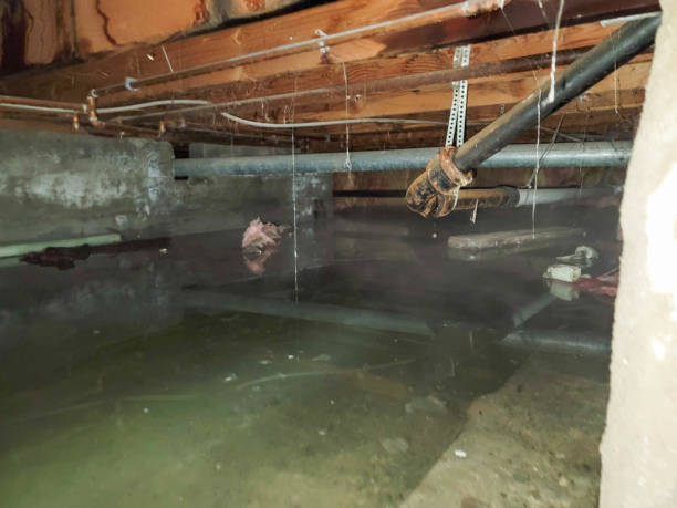 Best 24/7 water damage repair  in Coal Fork, WV