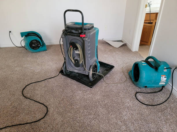 Best Water damage repair service  in Coal Fork, WV