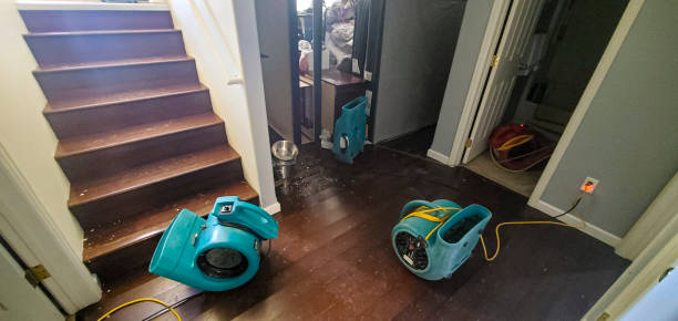 Best Commercial water damage restoration  in Coal Fork, WV
