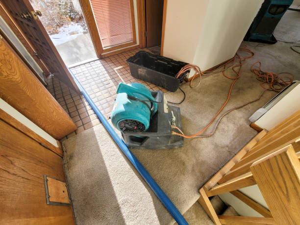 Best Flooded house restoration  in Coal Fork, WV