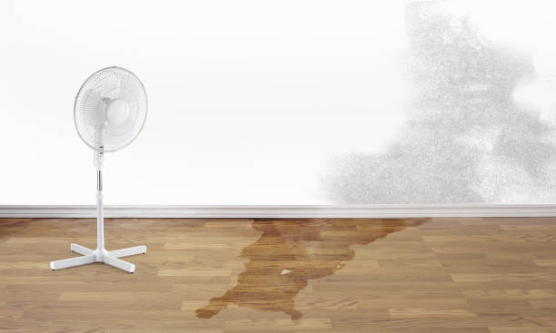 Professional Water damage restoration in Coal Fork, WV