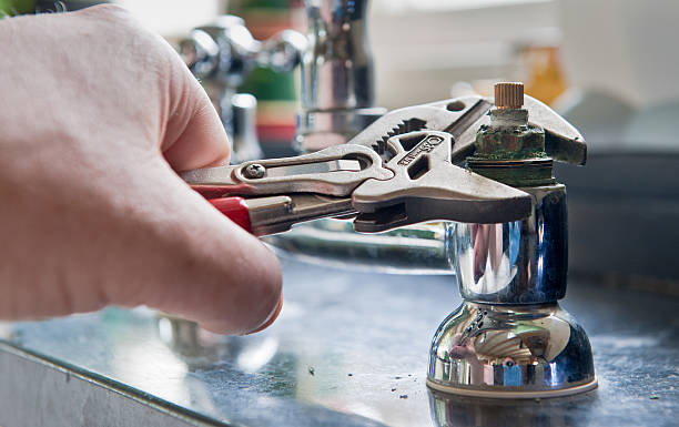 Best Professional water damage repair  in Coal Fork, WV