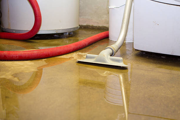 Best Water damage restoration experts  in Coal Fork, WV
