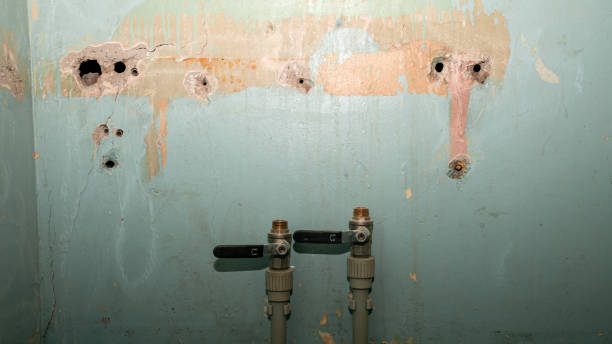Best Sewage cleanup and water damage restoration  in Coal Fork, WV