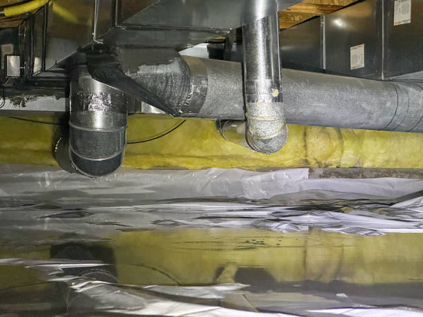 Best Water damage restoration insurance claims  in Coal Fork, WV