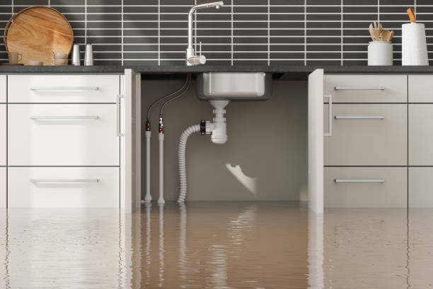 Best Water damage restoration near me  in Coal Fork, WV