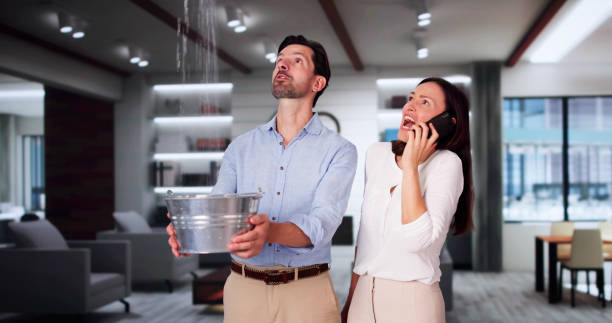 Best Carpet water damage restoration  in Coal Fork, WV